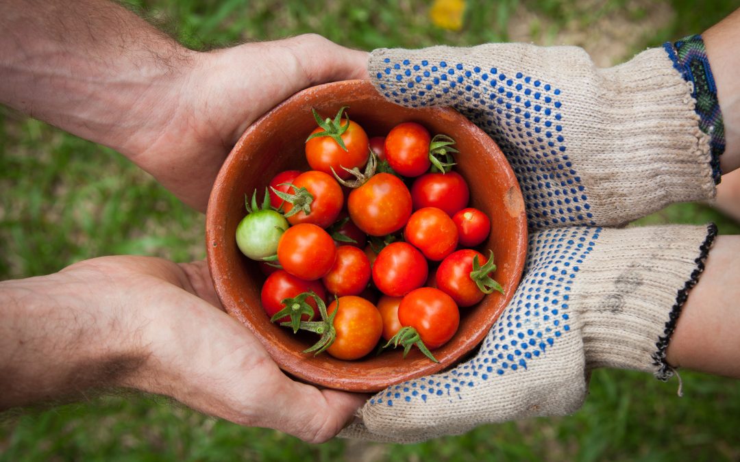 How My Farm Share Helped Me Practice What I Preach