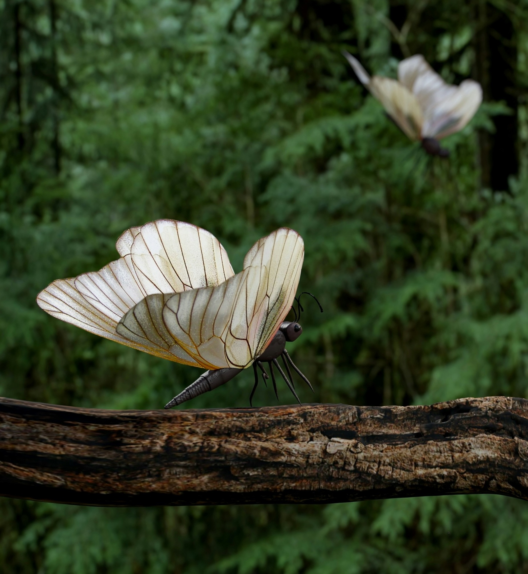 White butterflies symbolizing growth and transformation.